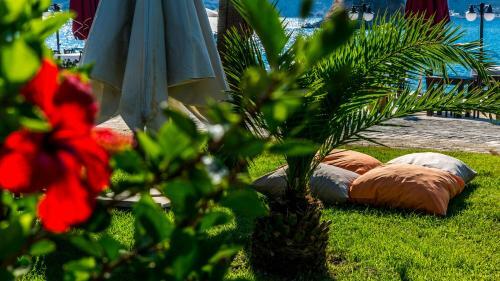Palmetto Resort Hotel Selimiye