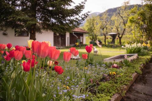 Apartamento Ferienwohnung Wittenburg