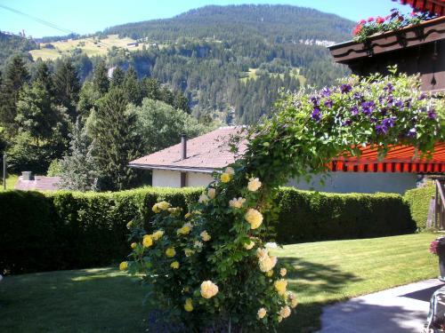 Apartment Alvaschein
