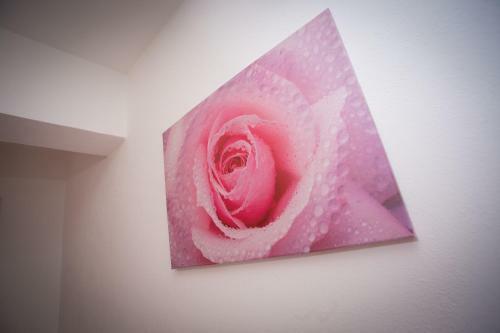 Apartmani Bruna