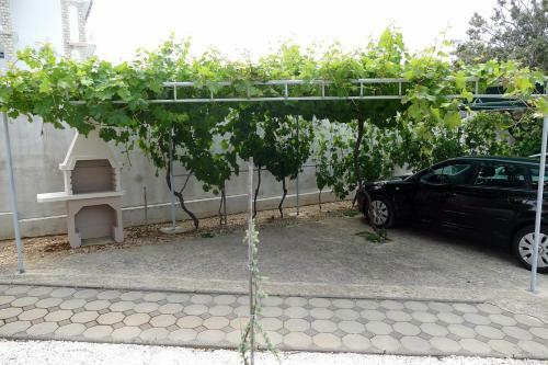 Apartman Jakov