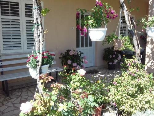 Apartman Iva