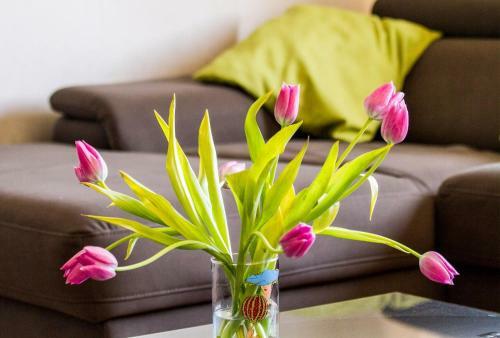 Apartamentos Ivana 2