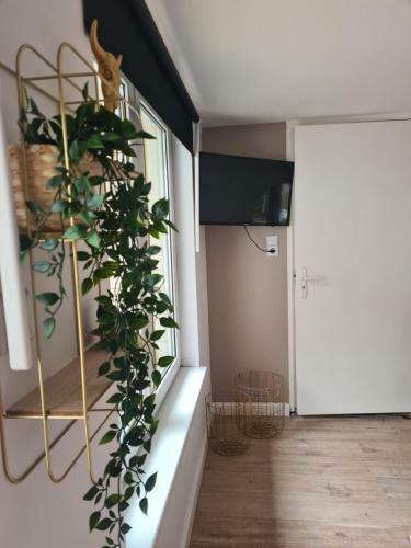 Hostal Evy's Garden House