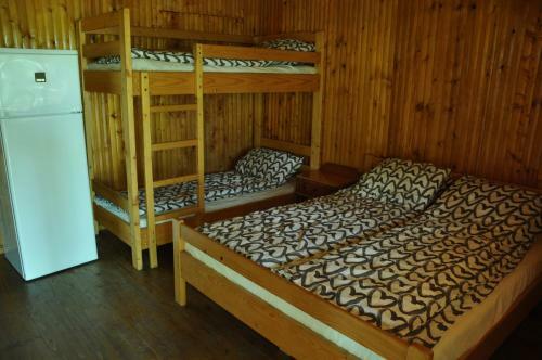Villa Pensiunea Rustic