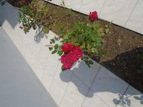 Apartamento House Filippos