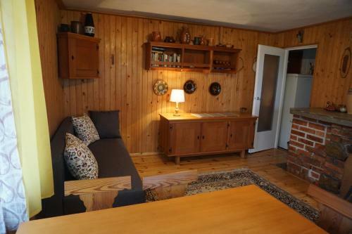 Lodge Domek W?siory