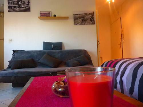 Apartamento Studio Cagnes Sur Mer