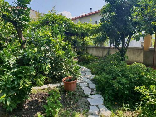 Apartamento Allou Garden House