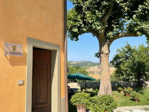 Apartamento The Sycamore House