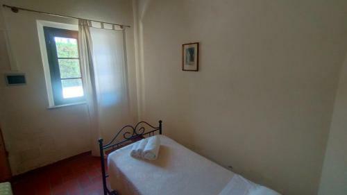 Apartamento The Sycamore House