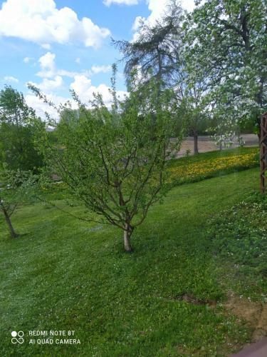 Agroturystyka Nad Jeziorem Sejwy