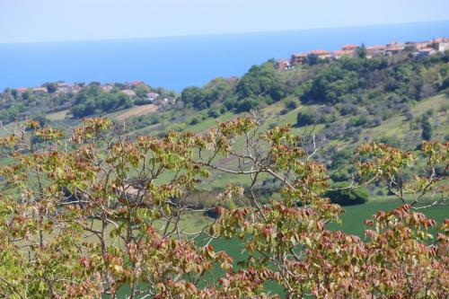 Apartamento La Casa Sul Borgo