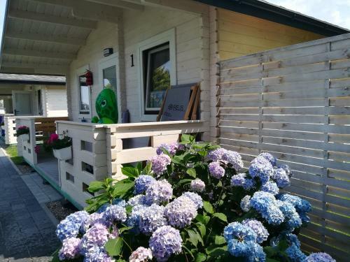 Lodge Domki Letniskowe Rejs