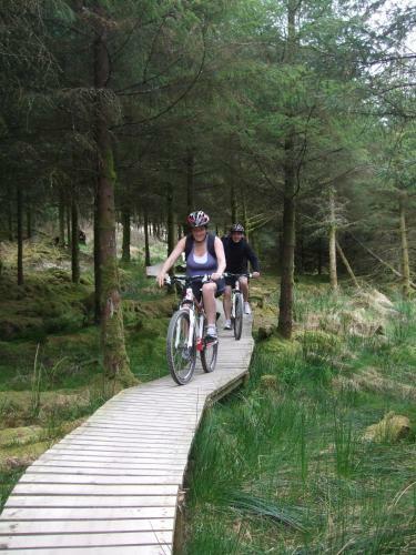 Park South Bed & Breakfast