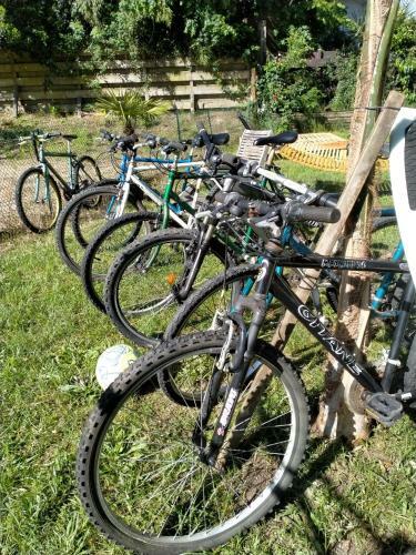 Albergue Shifting Sands Surf Camp