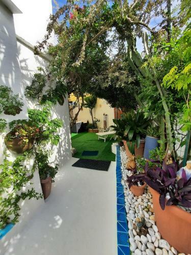 Apartamento Casa Delfino
