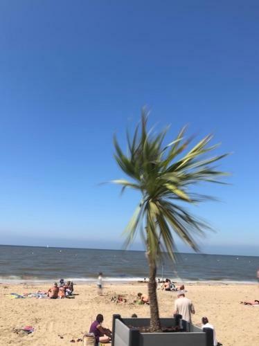 Apartamento Vill�giature En Bord de Mer