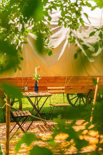 Dragonfly Gardens Urban Glamping Brasov