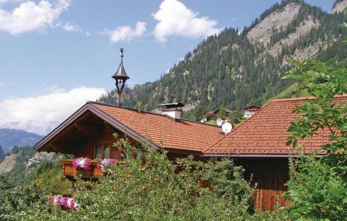Apartment Au Grossarl IV
