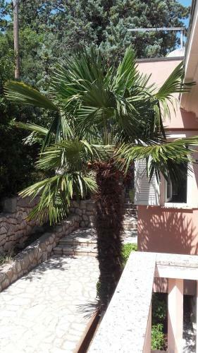 Apartamentos Villa Stefi (30m From The Sea)