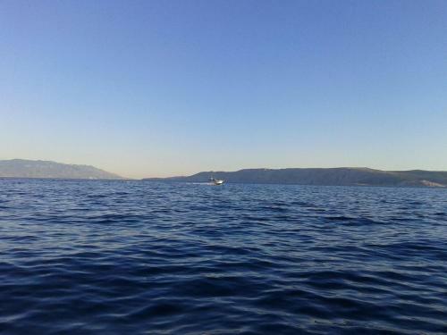 Apartamentos Villa Stefi (30m From The Sea)
