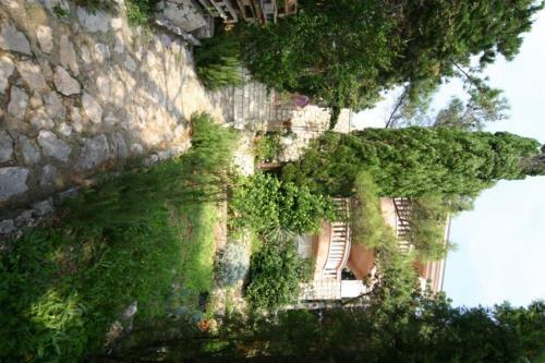 Apartamentos Villa Stefi (30m From The Sea)