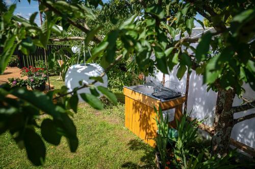 Hostal Pokoje U Basi Glamping Miko?ajki