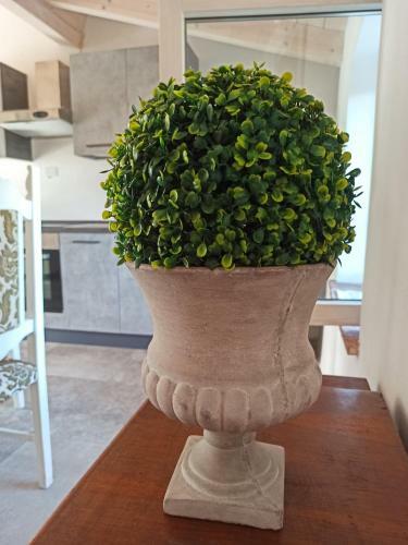 Apartamento Agriturismo Podere Le Palaie