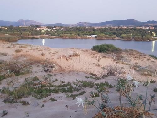 Apartamento Sardinia Imagination - S M Coghinas T43