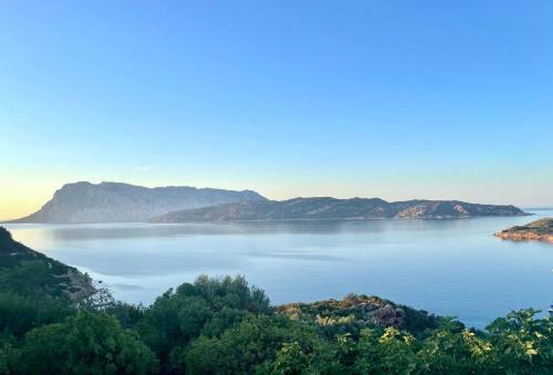 Apartamento San Teodoro Punta Est Giardino Vista Mare