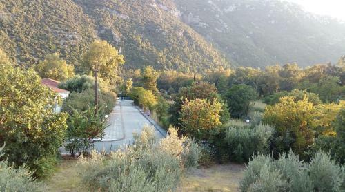 Aparthotel Alexandros