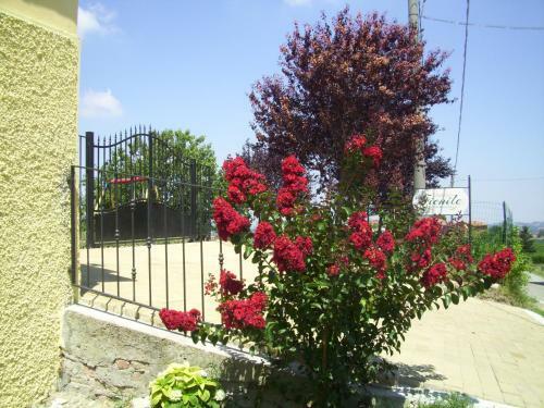 Bed & Breakfast L'antico Fienile