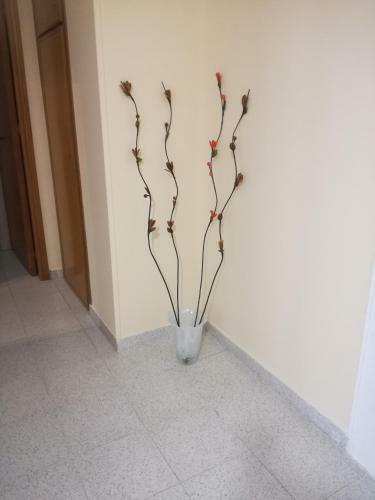 Apartamento Giusy's Place 1