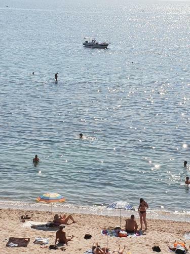Hostal Guest House Cozy Near Arcadia