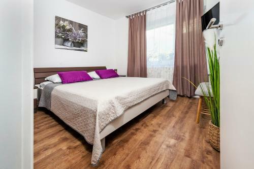 Hostal Apartment & Rooms Graciela