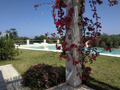 Hostal Masseria Auina