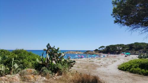Apartamento Sas Raicrinas
