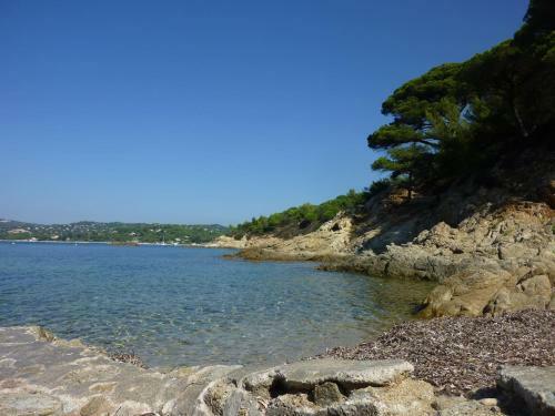 Mas Dans R�sidence Avec Grande Piscine