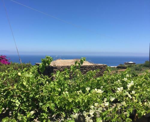 Agroturismo Dammusi Matilde
