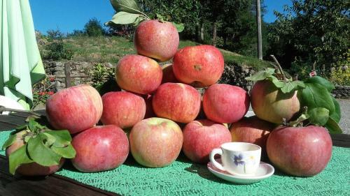 Bed & Breakfast Il Poggio Di Traverde