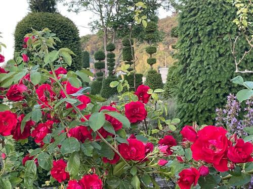 Bed & Breakfast Les Jardins de La Couture