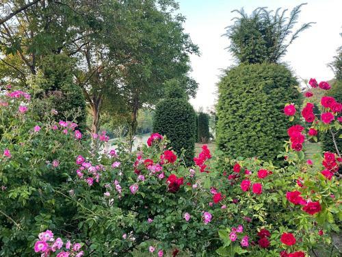 Bed & Breakfast Les Jardins de La Couture