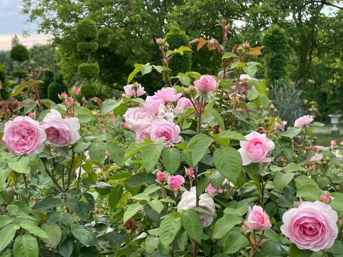 Bed & Breakfast Les Jardins de La Couture