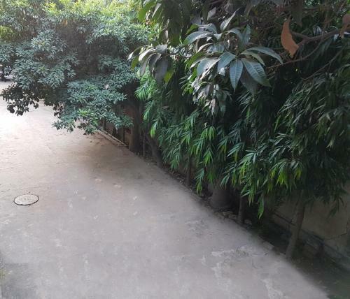 5 Bedroom Apartment In Gulberg II