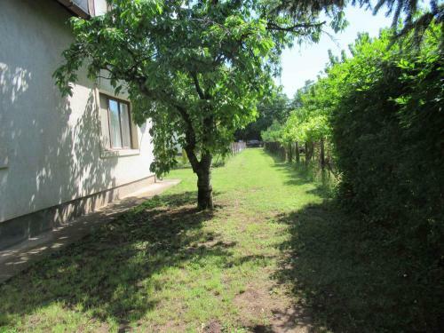 Holiday Home In Csopak/balaton 18315