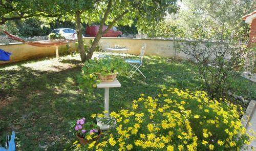 Apartmani Volga