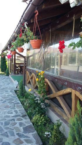 Hostal Pensiunea Lacul Albesti