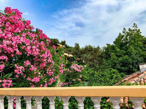 Hostal Villa Vojnic