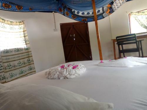 Hotel Funky Squids Beach Resort